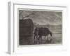 Shooting Wildfowl on the Upper Thames, the Stalking-Horse-Henry Robert Robertson-Framed Giclee Print