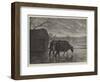 Shooting Wildfowl on the Upper Thames, the Stalking-Horse-Henry Robert Robertson-Framed Giclee Print