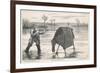 Shooting Wildfowl with the Aid of a Stalking Horse-W.j. Palmer-Framed Premium Giclee Print