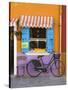 Shop Front, Burano, Venice, Italy-Doug Pearson-Stretched Canvas
