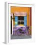 Shop Front, Burano, Venice, Italy-Doug Pearson-Framed Photographic Print