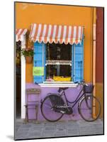 Shop Front, Burano, Venice, Italy-Doug Pearson-Mounted Photographic Print