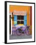 Shop Front, Burano, Venice, Italy-Doug Pearson-Framed Photographic Print