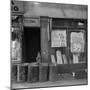 Shop in Washington Avenue, Bronx, New York, 1936-Arthur Rothstein-Mounted Photographic Print