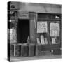 Shop in Washington Avenue, Bronx, New York, 1936-Arthur Rothstein-Stretched Canvas