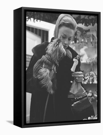 Shopper Looking at Tiny Figurine as She Holds Her Yorkshire Terrier in Arms at Saks Fifth Avenue-Yale Joel-Framed Stretched Canvas