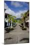 Shopping Area for Cruise Ships-Robert Harding-Mounted Photographic Print
