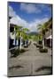 Shopping Area for Cruise Ships-Robert Harding-Mounted Photographic Print