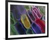 Shopping Bags near Palacio de Gobierno, Oaxaca, Mexico-Judith Haden-Framed Photographic Print