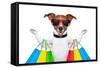 Shopping Dog-Javier Brosch-Framed Stretched Canvas