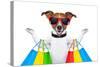 Shopping Dog-Javier Brosch-Stretched Canvas