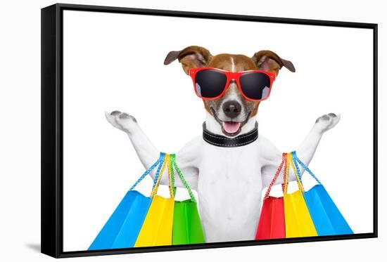 Shopping Dog-Javier Brosch-Framed Stretched Canvas