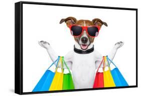 Shopping Dog-Javier Brosch-Framed Stretched Canvas