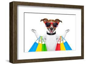 Shopping Dog-Javier Brosch-Framed Photographic Print
