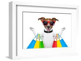 Shopping Dog-Javier Brosch-Framed Photographic Print