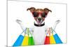 Shopping Dog-Javier Brosch-Mounted Photographic Print