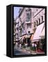 Shopping Scenic, Cannes, France-Bill Bachmann-Framed Stretched Canvas