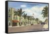 Shopping Street, Palm Beach, Florida-null-Framed Stretched Canvas