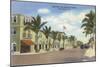 Shopping Street, Palm Beach, Florida-null-Mounted Art Print