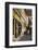 Shops on Castle Hill, Budapest, Hungary, Europe-Neil Farrin-Framed Photographic Print