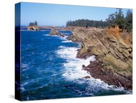 Shore Acres State Park, Oregon Coast, USA-Janis Miglavs-Stretched Canvas