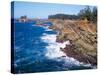 Shore Acres State Park, Oregon Coast, USA-Janis Miglavs-Stretched Canvas