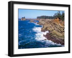 Shore Acres State Park, Oregon Coast, USA-Janis Miglavs-Framed Premium Photographic Print