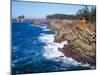 Shore Acres State Park, Oregon Coast, USA-Janis Miglavs-Mounted Premium Photographic Print