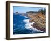 Shore Acres State Park, Oregon Coast, USA-Janis Miglavs-Framed Photographic Print