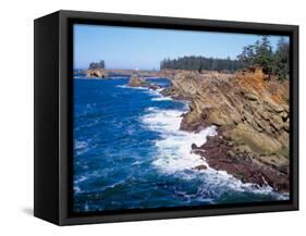 Shore Acres State Park, Oregon Coast, USA-Janis Miglavs-Framed Stretched Canvas