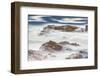 Shore Acres State Park, Oregon, USA. Blur of waves flowing over rocks.-Emily Wilson-Framed Photographic Print