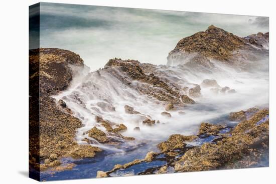 Shore Acres State Park, Oregon, USA. Blur of waves flowing over rocks.-Emily Wilson-Stretched Canvas