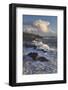 Shore Acres State Park, Oregon.-Alan Majchrowicz-Framed Photographic Print