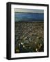 Shore at sunset, Chesapeake Bay, Virginia, USA-Charles Gurche-Framed Photographic Print