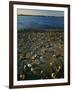 Shore at sunset, Chesapeake Bay, Virginia, USA-Charles Gurche-Framed Photographic Print
