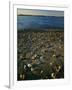 Shore at sunset, Chesapeake Bay, Virginia, USA-Charles Gurche-Framed Photographic Print