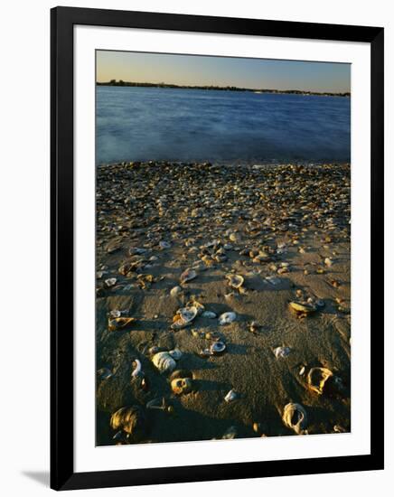 Shore at sunset, Chesapeake Bay, Virginia, USA-Charles Gurche-Framed Photographic Print