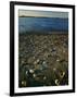 Shore at sunset, Chesapeake Bay, Virginia, USA-Charles Gurche-Framed Photographic Print