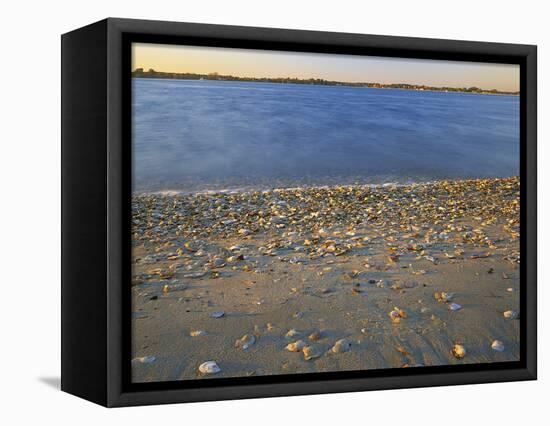 Shore at Sunset, Chesapeake Bay, Virginia, USA-Charles Gurche-Framed Stretched Canvas