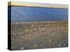 Shore at Sunset, Chesapeake Bay, Virginia, USA-Charles Gurche-Stretched Canvas