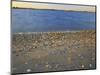 Shore at Sunset, Chesapeake Bay, Virginia, USA-Charles Gurche-Mounted Photographic Print