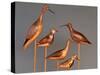 Shore Bird Decoys, USA-Gavriel Jecan-Stretched Canvas