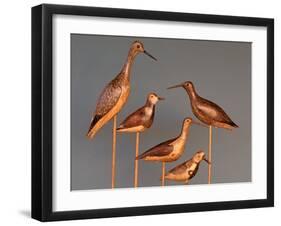 Shore Bird Decoys, USA-Gavriel Jecan-Framed Premium Photographic Print