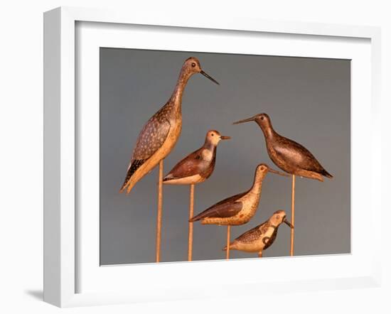 Shore Bird Decoys, USA-Gavriel Jecan-Framed Premium Photographic Print