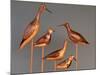 Shore Bird Decoys, USA-Gavriel Jecan-Mounted Photographic Print