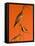 Shore Bird Decoys, USA-Gavriel Jecan-Framed Stretched Canvas