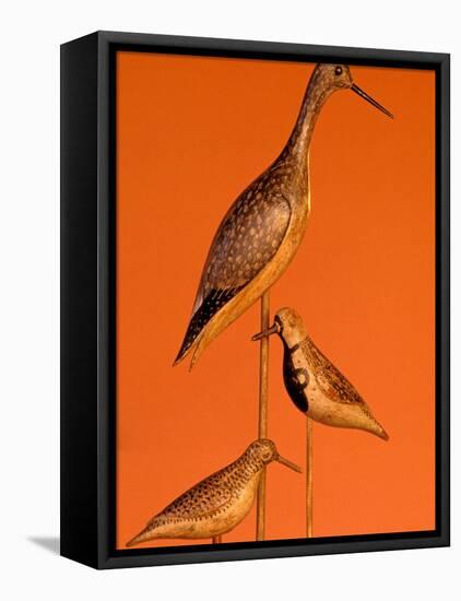 Shore Bird Decoys, USA-Gavriel Jecan-Framed Stretched Canvas