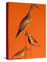 Shore Bird Decoys, USA-Gavriel Jecan-Stretched Canvas