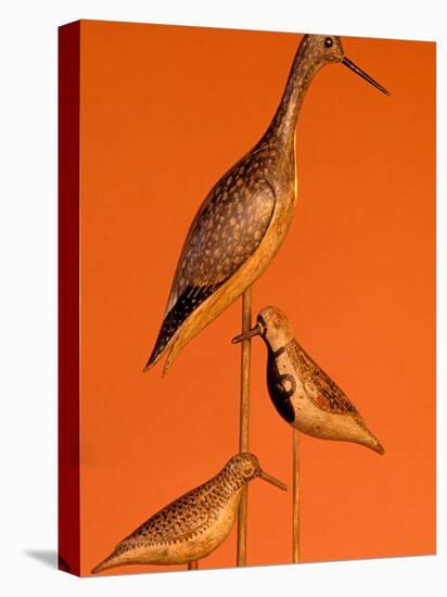 Shore Bird Decoys, USA-Gavriel Jecan-Stretched Canvas