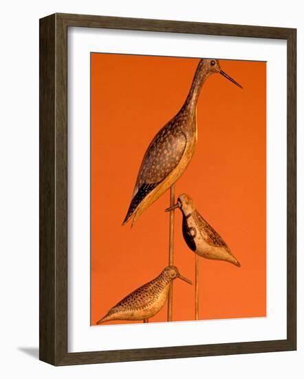 Shore Bird Decoys, USA-Gavriel Jecan-Framed Photographic Print